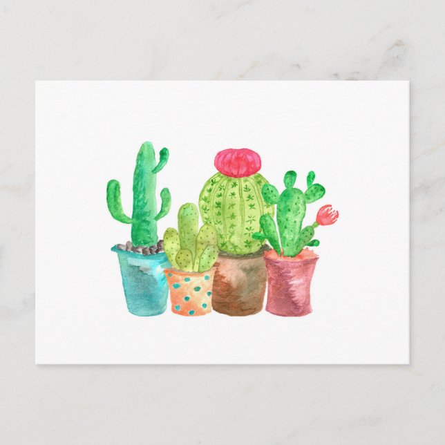 Carte postale Cactus aquarelle (Devant)