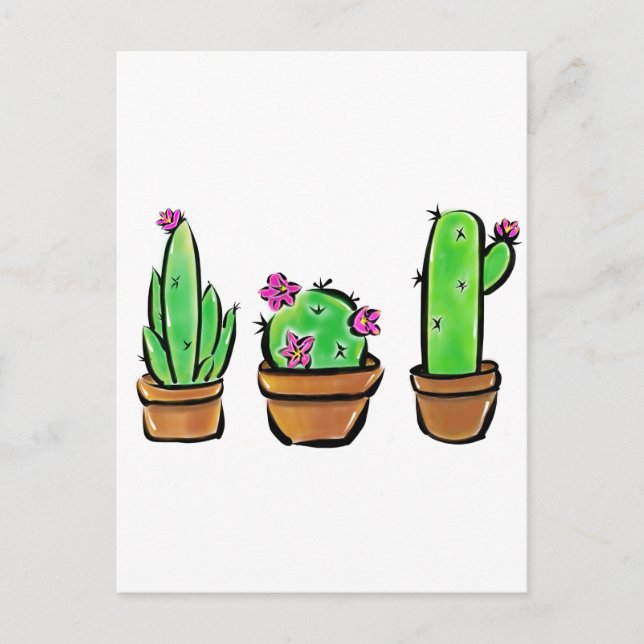 Carte Postale Cactus cactus cactus succulents (Devant)