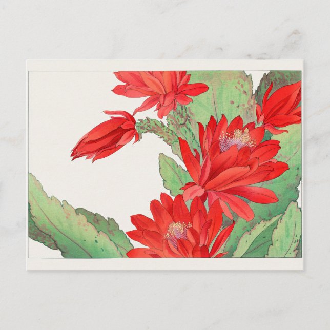 Carte Postale Cactus de Pâques par Tanigami Konan (Devant)