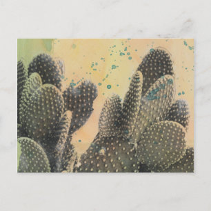 Carte Postale Cactus du désert   Plat vert
