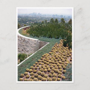Carte Postale cactus du musée getty