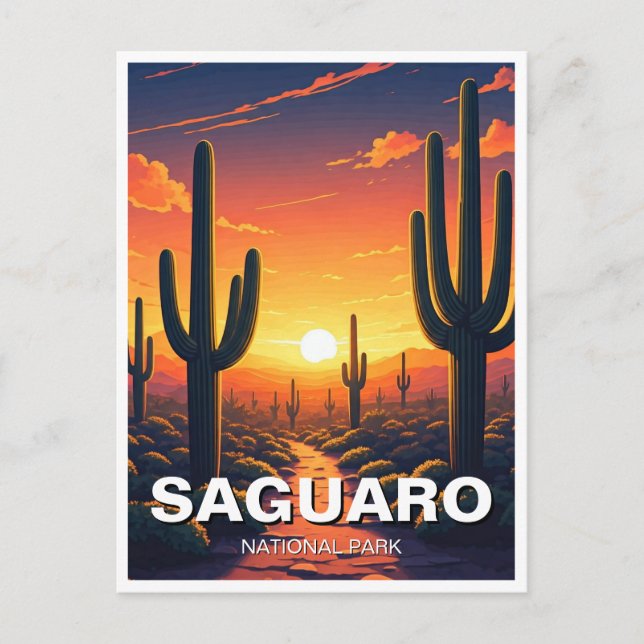 Carte Postale Cactus du Parc national du Saguaro Souvenir (Devant)