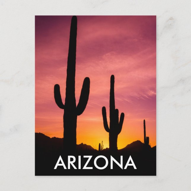 Carte Postale Cactus du Saguaro au lever du soleil, Arizona (Devant)