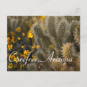 Carte Postale Cactus et Fleurs sauvages en Carefree, Arizona