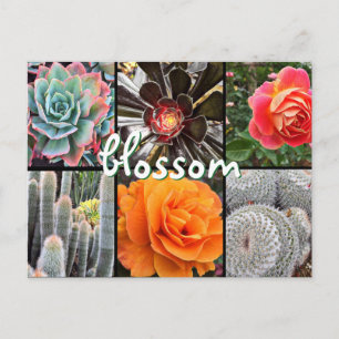 Carte Postale Cactus et photographie rose collage fleur citation