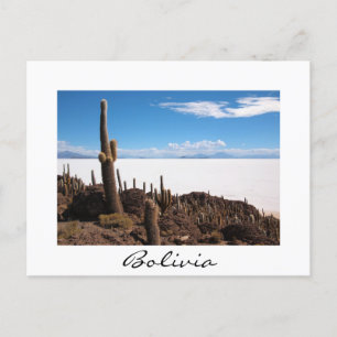 Carte Postale Cactus géant au Salar de Uyuni, Bolivie