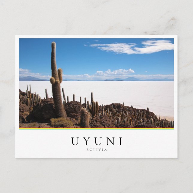 Carte Postale Cactus géant au Salar de Uyuni en Bolivie (Devant)