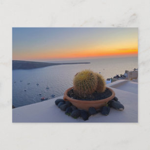 Carte Postale Cactus Santorin Grèce Sunset Photographie