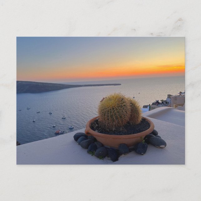Carte Postale Cactus Santorin Grèce Sunset Photographie (Devant)