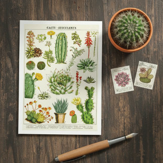 Carte Postale Cactus Succulents Botanical Illustration Postcard