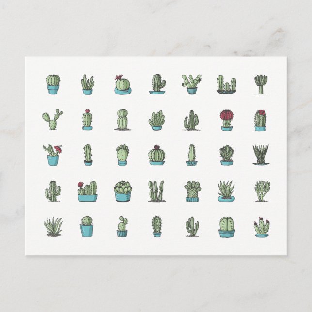 Carte Postale Cactus Succulents Plante main tiré Botanique (Devant)