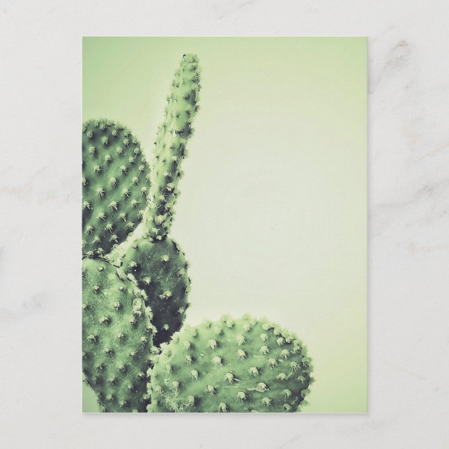 Carte Postale Cactus vert (Devant)