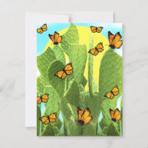 Cactus Whimsical Et Papillons