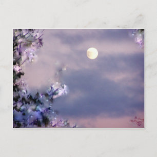 Carte Postale Cadeau aérien