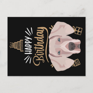 Carte Postale Cadeau d'anniversaire Weimaraner