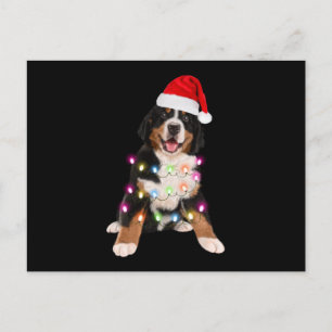 Carte Postale cadeau de noël pour le chiot de montagne bernais