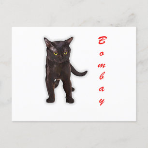 Carte Postale Cadeau drôle de chat Bombay dessiné à la main pour