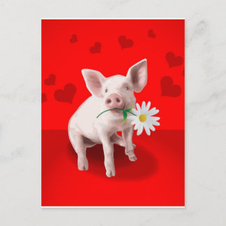 Carte Postale Cadeaux