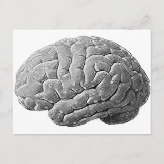 Carte Postale Cadeaux de cerveau