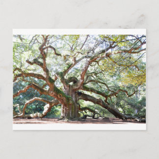 Carte Postale Cadeaux de chêne Angel