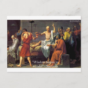 Carte Postale Cadeaux de citations de Socrate "Sagesse/Merveille