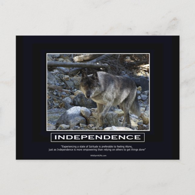 Carte Postale Cadeaux de motivation du loup gris (Devant)