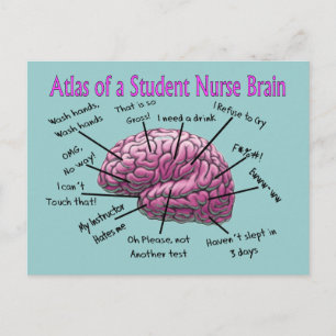 Carte Postale Cadeaux d'infirmière étudiante