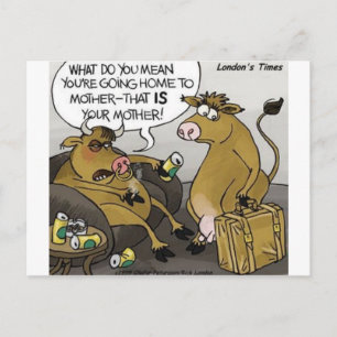 Carte Postale Cadeaux et T-shirts drôles de divorce de vache tau