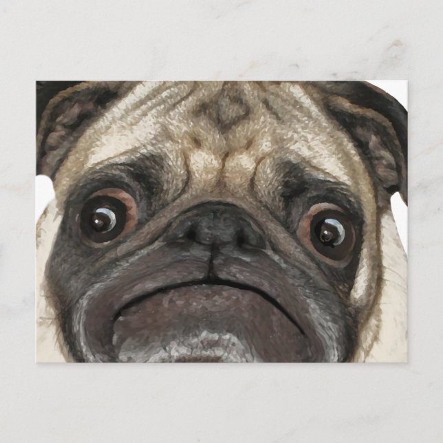 Carte Postale Cadeaux Grumpy Puggy (Devant)