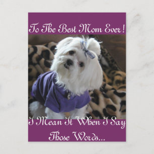 Carte Postale Cadeaux maltais