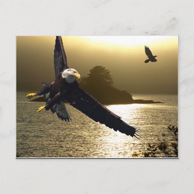 Carte Postale Cadeaux Motivationnels de l'aigle chauve (Devant)