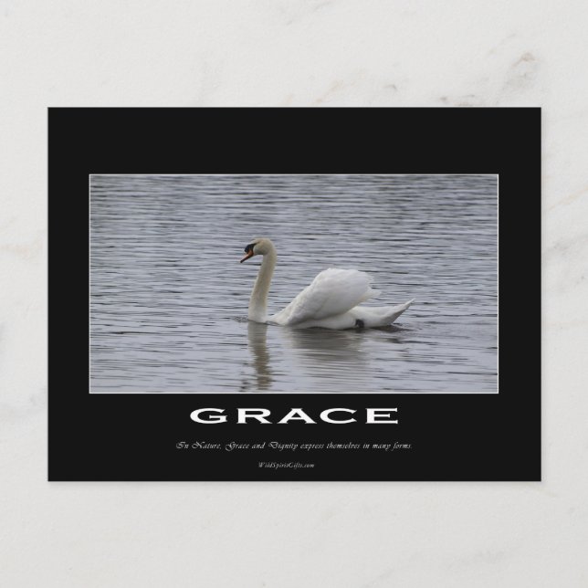 Carte Postale Cadeaux Motivationnels Swan (Devant)