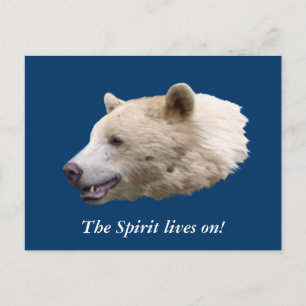 Carte Postale Cadeaux "Ours Esprit"