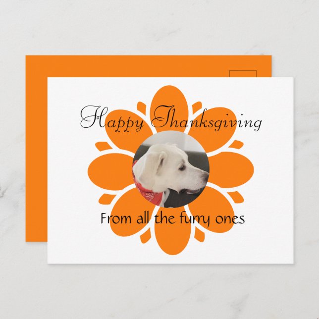 Carte Postale Cadre maman Fleur Orange mignon pour animal de com (Devant / Derrière)