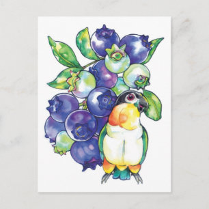 Carte Postale Caique à tête noire avec bleuet