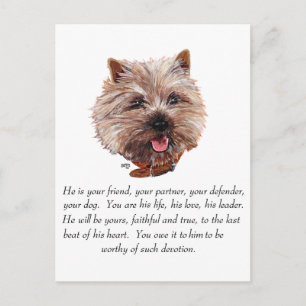 Carte Postale Cairn Terrier de Souvenir - Mâle