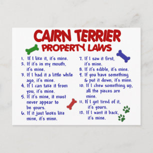 Carte Postale CAIRN TERRIER Lois sur la propriété 2
