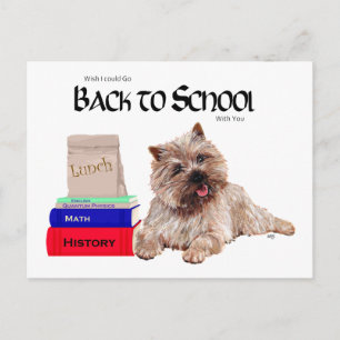 Carte Postale Cairn Terrier Retour à l'école