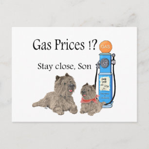 Carte Postale Cairn Terriers Prix de l'essence ?!!