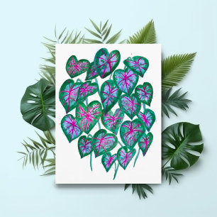 Carte Postale Caladiums Rose et Vert Feuilles Aquarelle Art