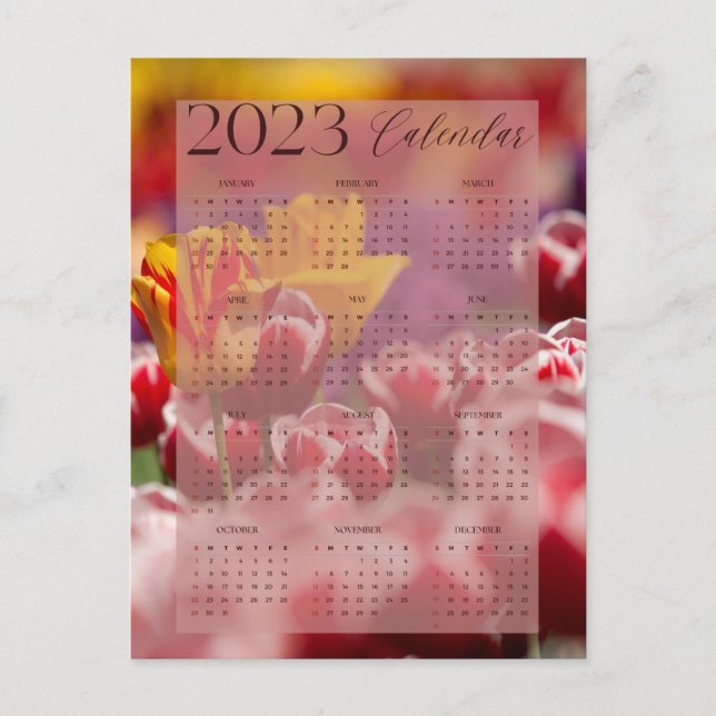 Carte Postale calendrier 2023 beau motif tulip (Devant)