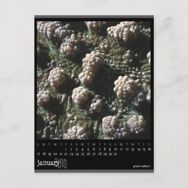 Carte Postale calendrier janvier 2010 (Devant)