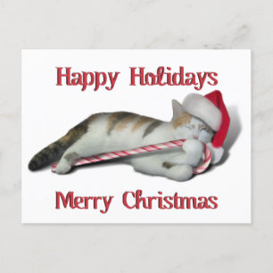 Carte Postale Cali, le Sucre de canne Kitty