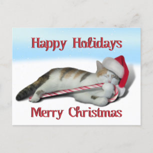 Carte Postale Cali, le Sucre de canne Kitty