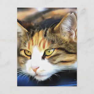 Carte Postale Calico Jaune Chat réaliste Portrait pour animal