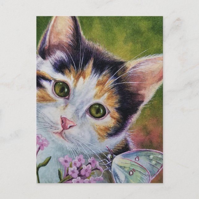 Carte Postale Calico Kitten et l'aquarelle papillon au soufre (Devant)