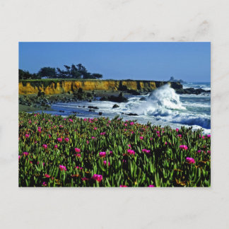 Carte postale California Coast