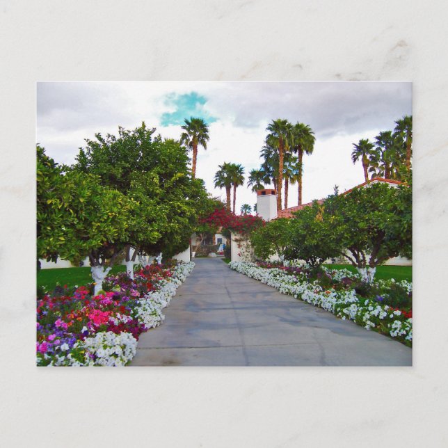 Carte Postale California Desert Resort (Devant)