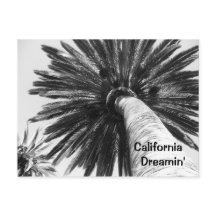 Carte postale California Dreamin