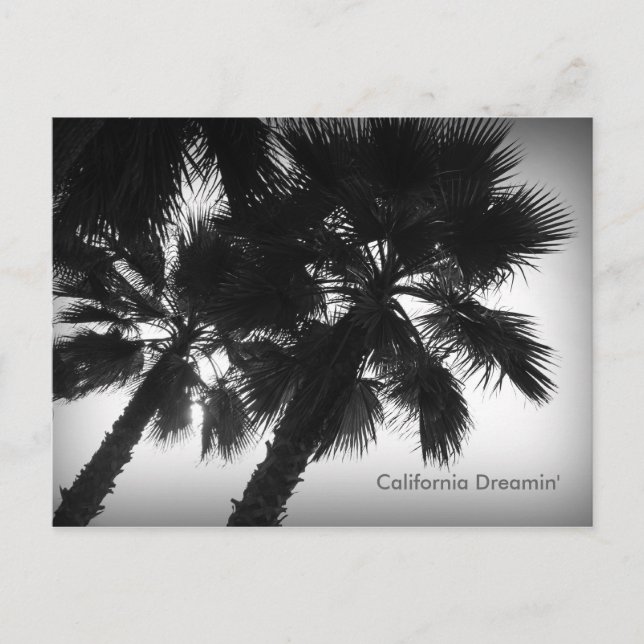 Carte postale California Dreamin' Palm Trees (Devant)